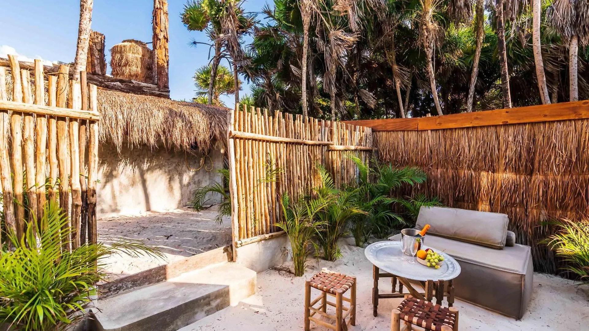 Phoenix Tulum México