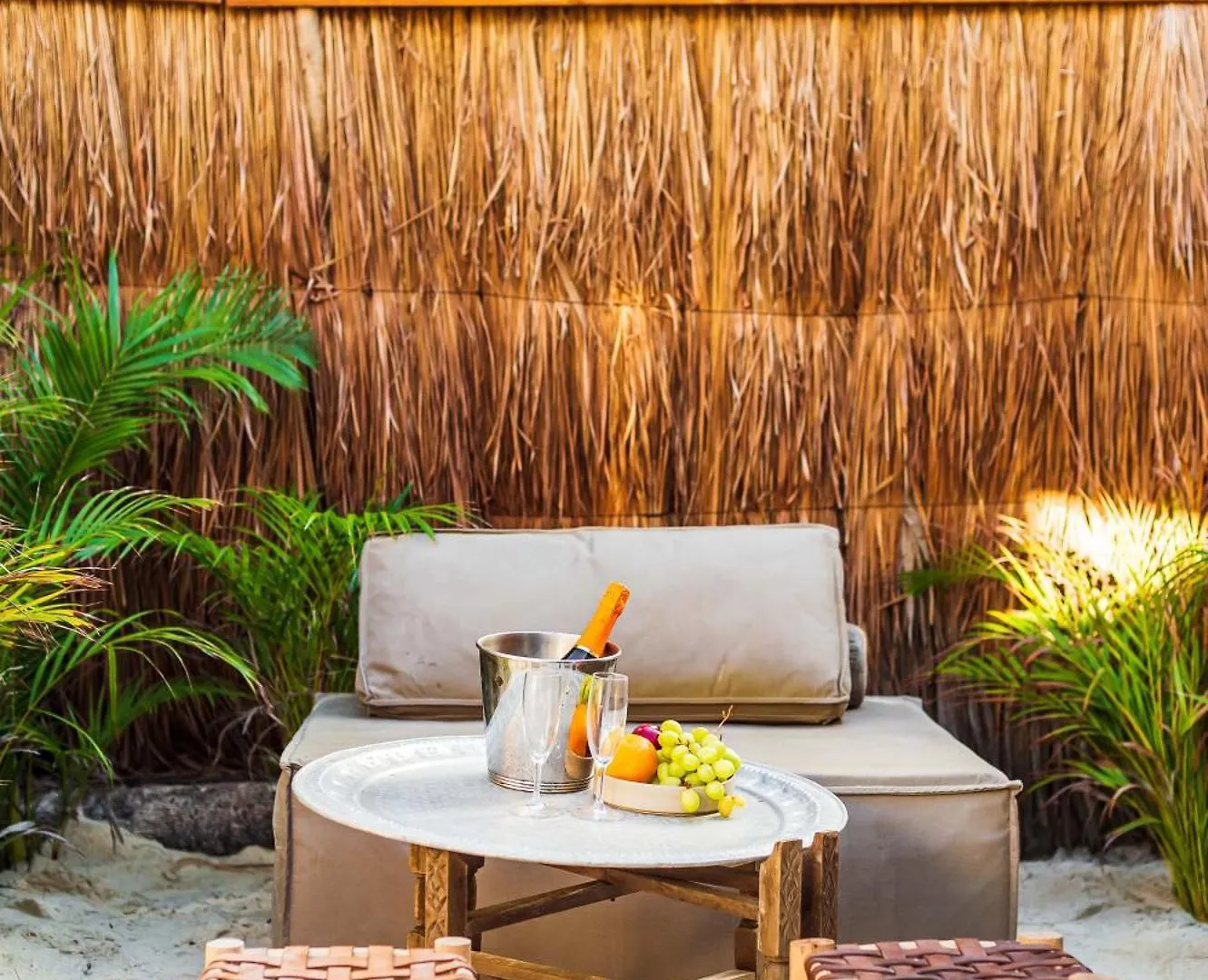 Phoenix Tulum